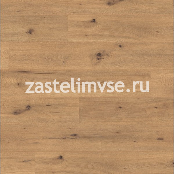 Ламинат Egger Pro 10/33 V4 EPL82 Дикий Дуб Натуральный