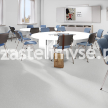 Линолеум Tarkett ACCZENT PRO ASPECT 2 3,0м х 1,63м
